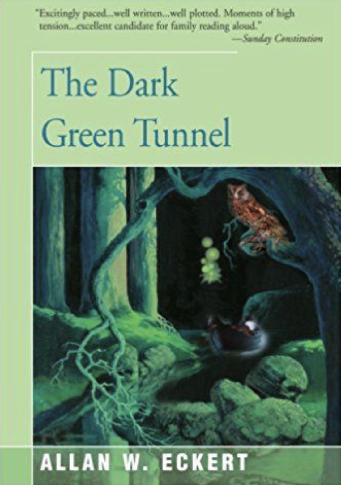 The Dark Green Tunnel