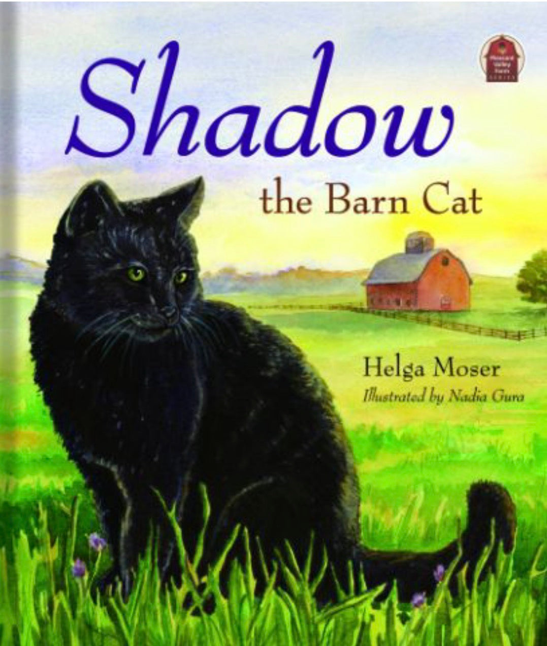Shadow the Barn Cat