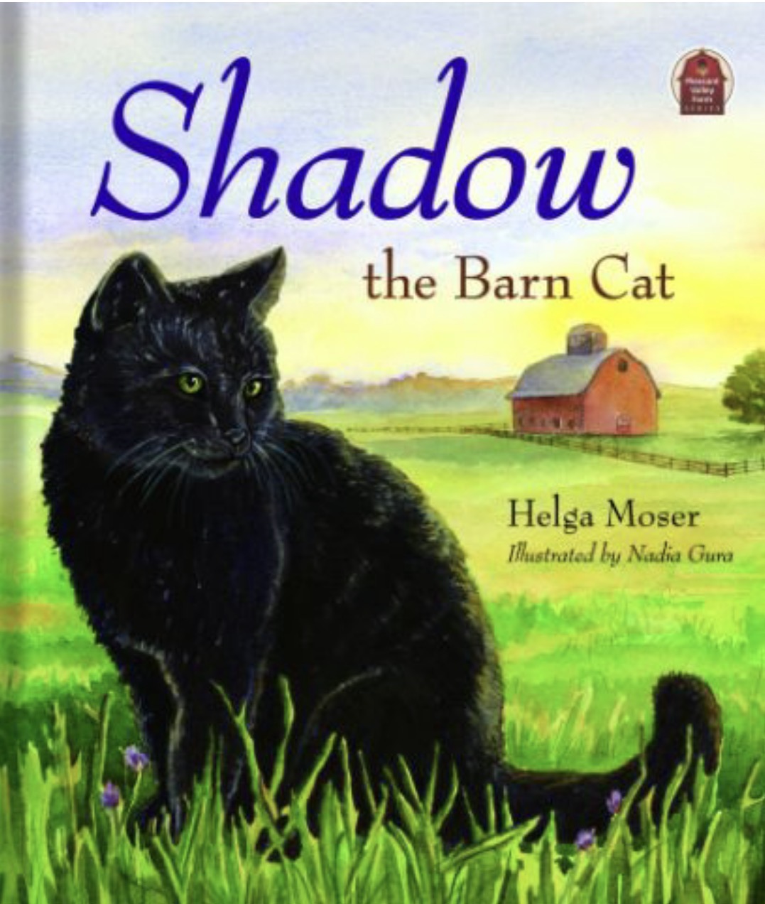 Shadow the Barn Cat