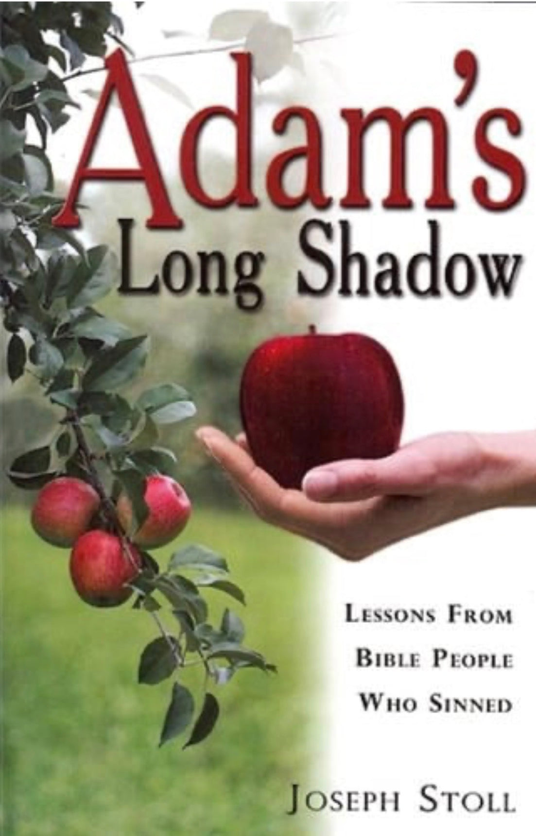 Adam's Long Shadow, Lessons From Bible People Who Sinned
