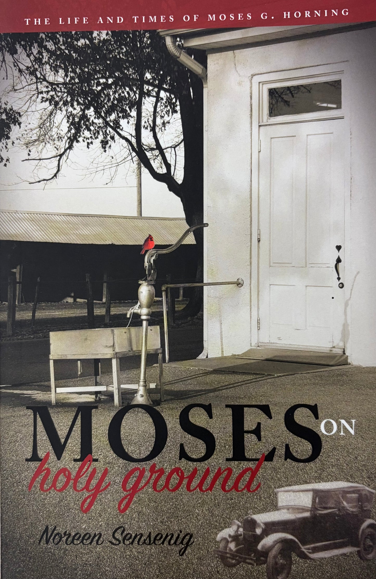 Moses on Holy Ground