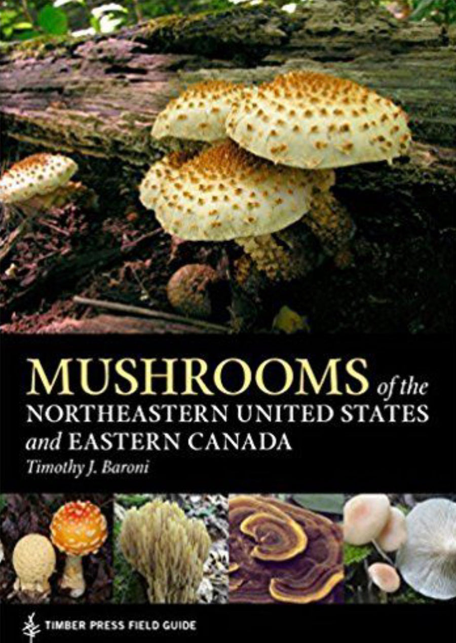 Mushrooms of the Northeastern United States and Eastern Canada
