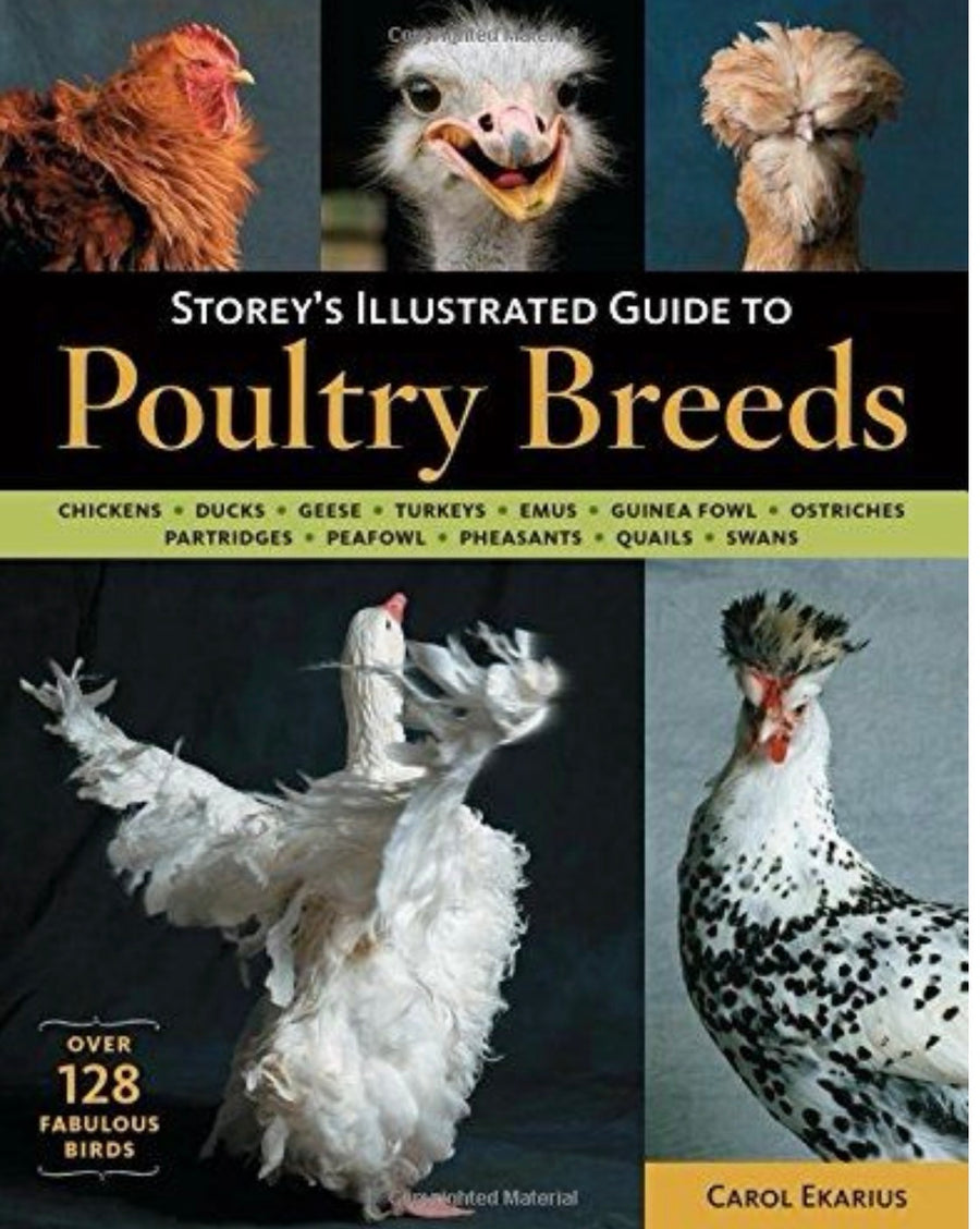 Storey's Illustrated Guide to Poultry Breeds Chickens, Ducks, Geese, Turkeys, Emus, Guinea Fowl, Ostriches, Partridges, Peafowl, Pheasants, Quails, Swans