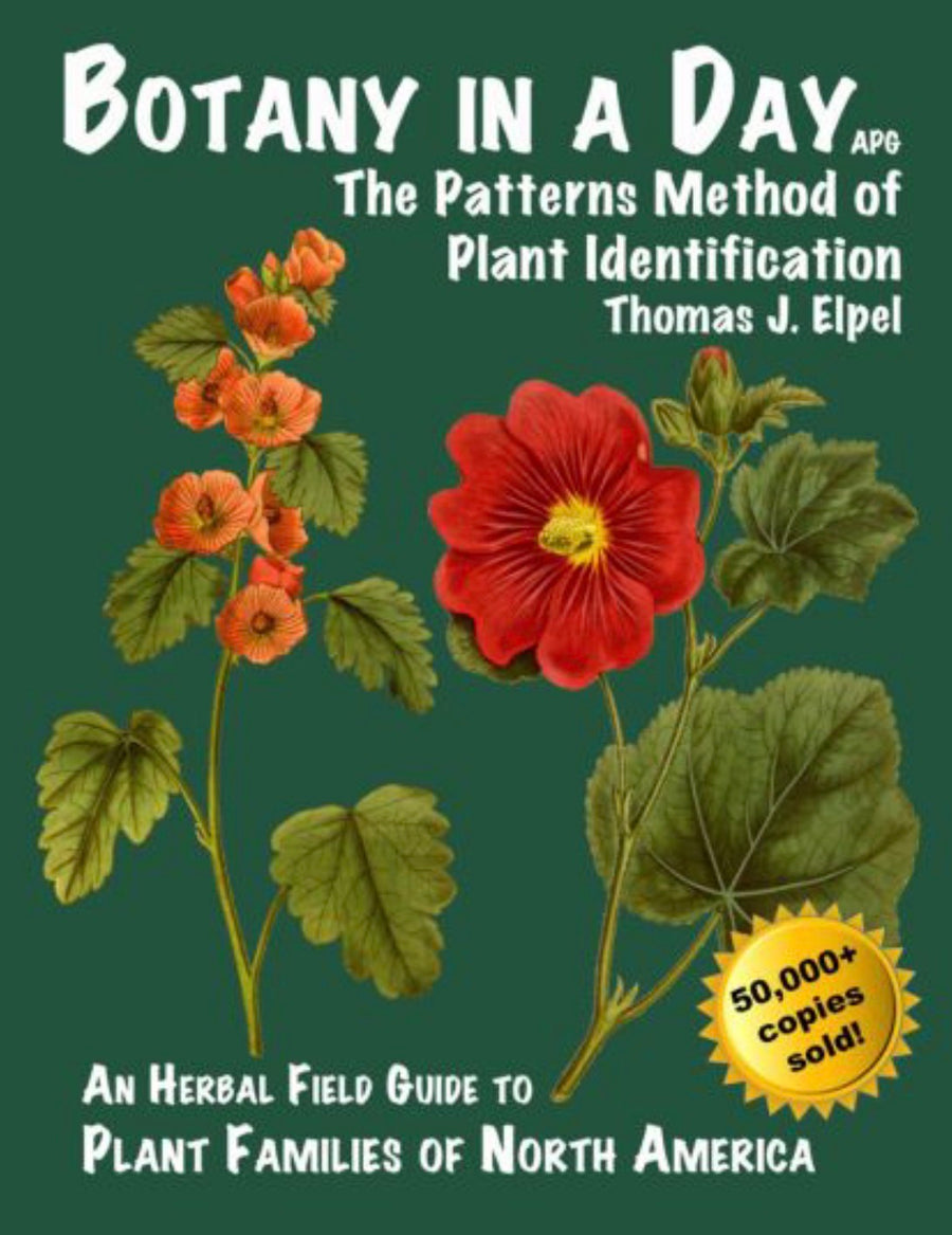 Botany in a Day The Patterns Method of Plant Identification : an Herbal Field Guide to Plant Families of North America