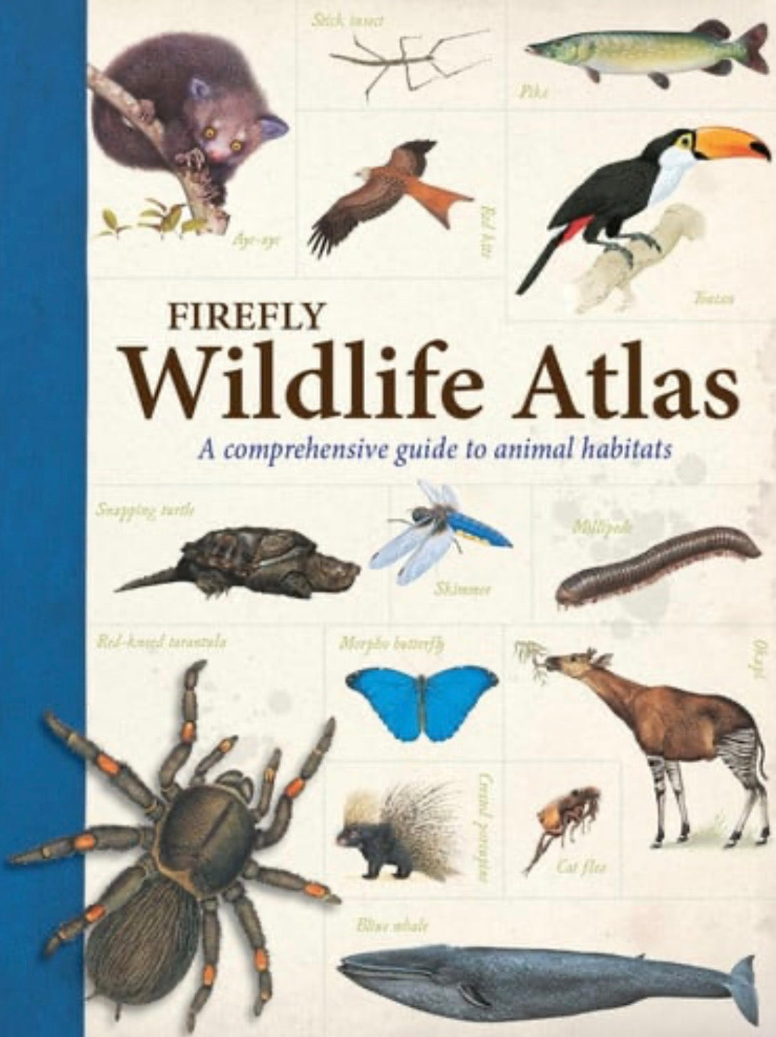 Firefly Wildlife Atlas A Comprehensive Guide to Animal Habitats
