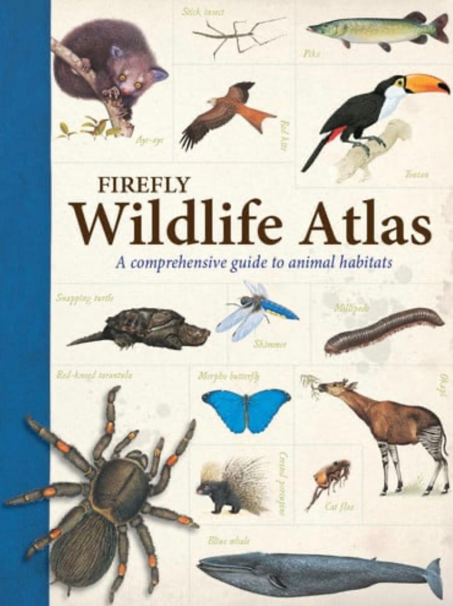 Firefly Wildlife Atlas A Comprehensive Guide to Animal Habitats