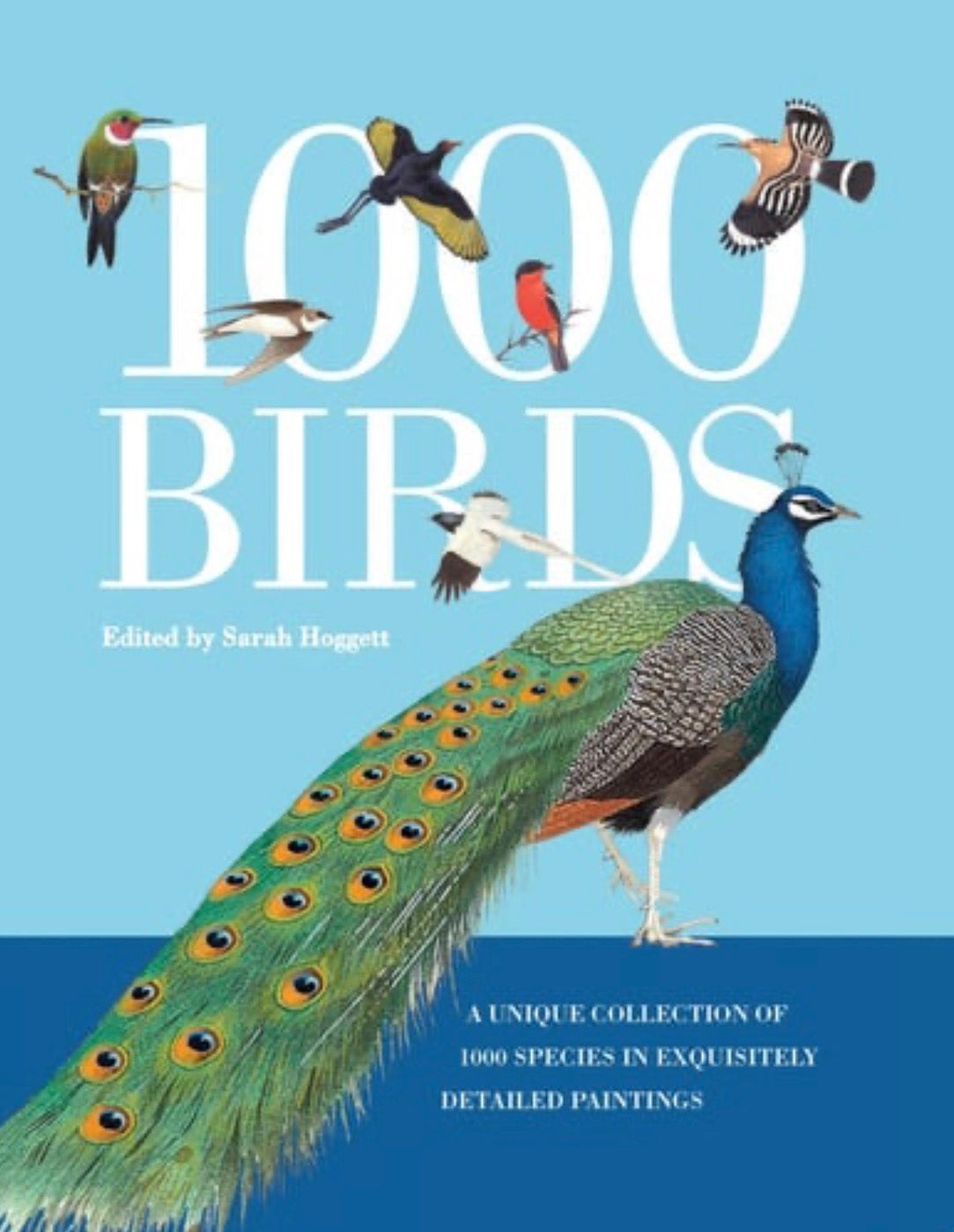 1000 Birds A Unique Collection of 1,000 Species in Exquisitely Detailed Paintings