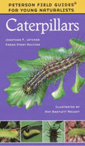 Field guide to Caterpillars