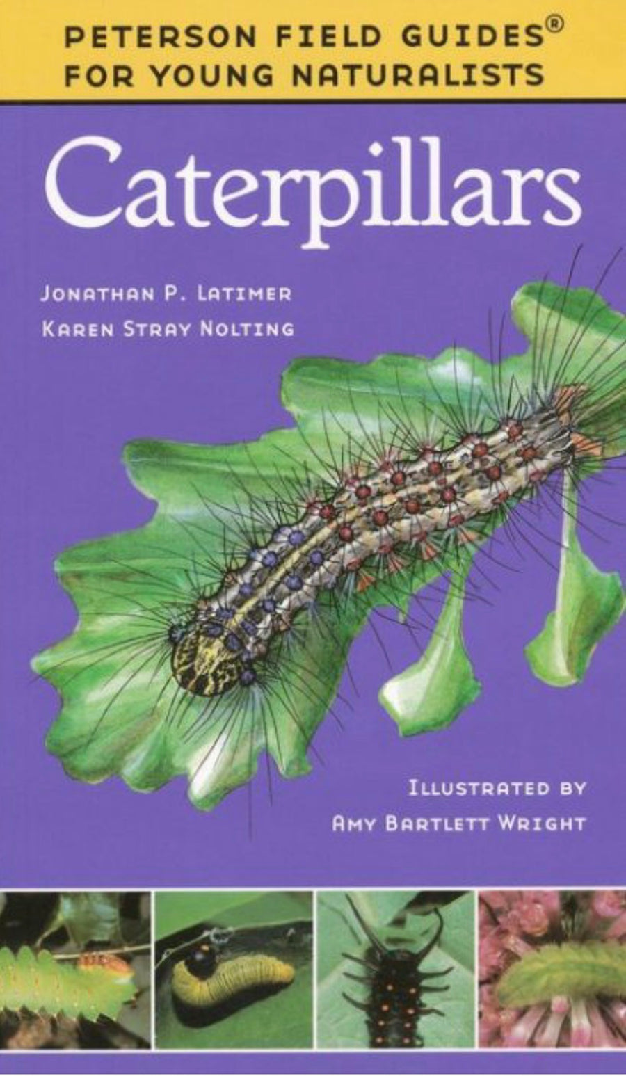 Field guide to Caterpillars
