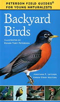 Backyard Birds