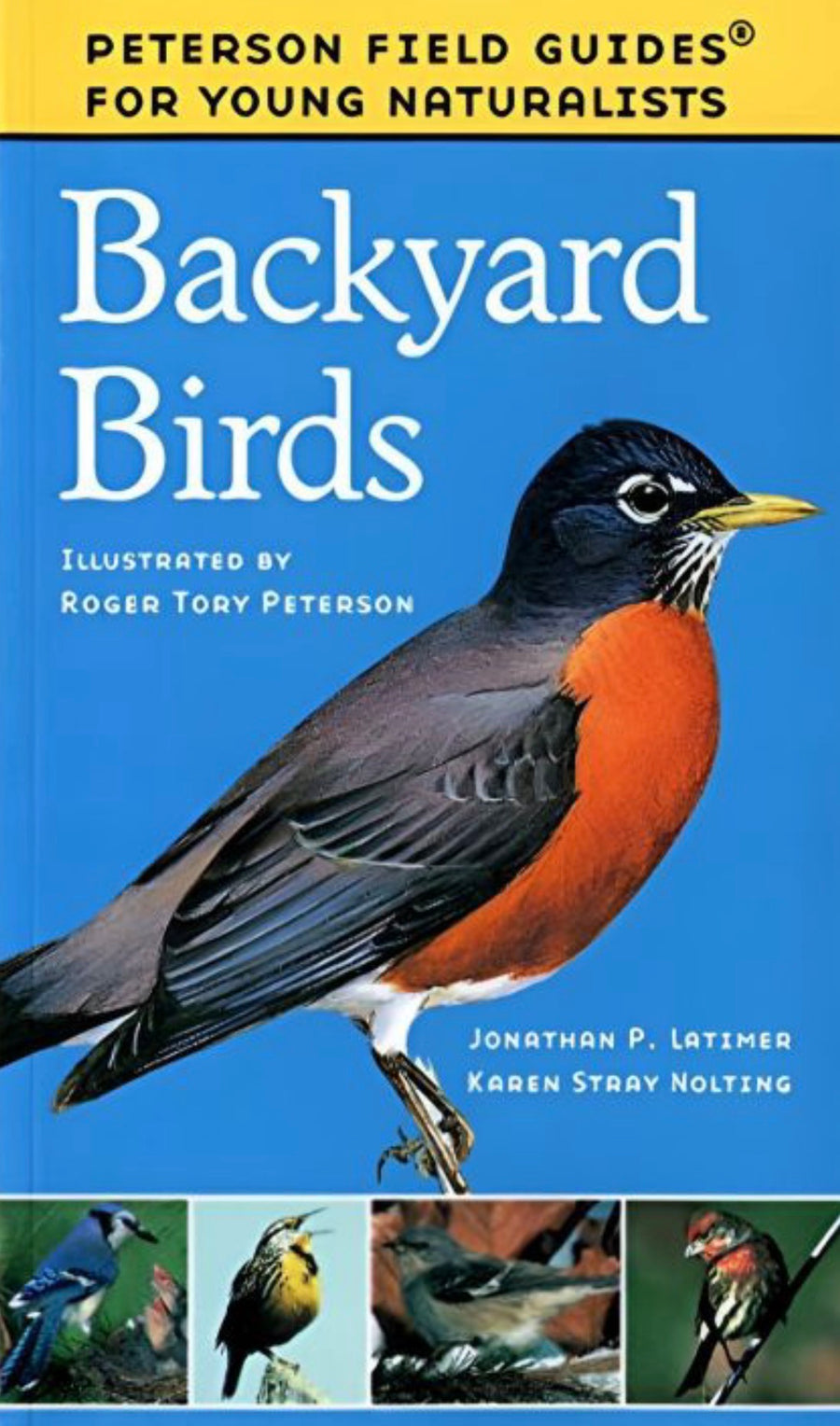 Backyard Birds