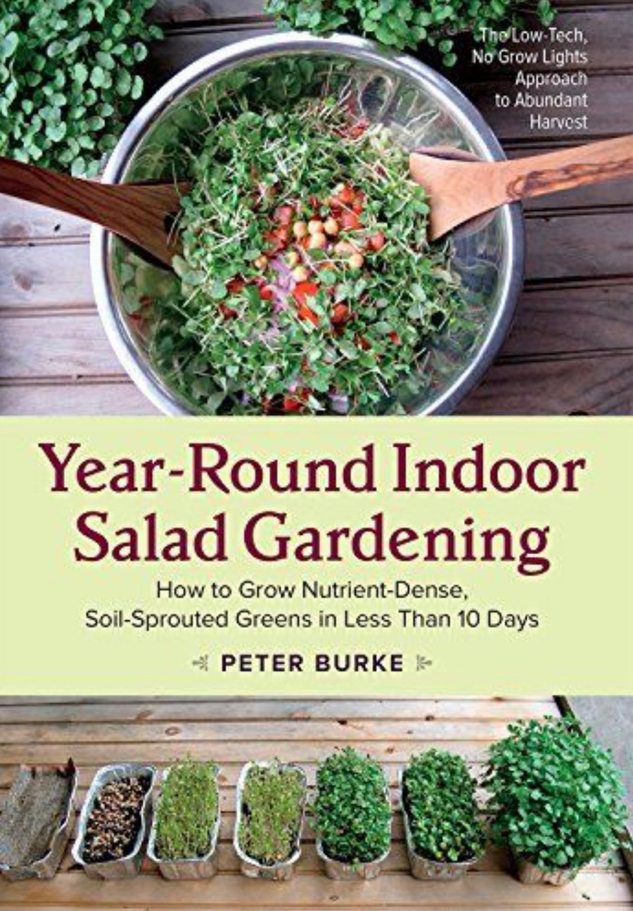 Year-Round Indoor Salad Gardening How to Grow Nutrient-Dense, Soil-Sprouted Greens in Less Than 10 days