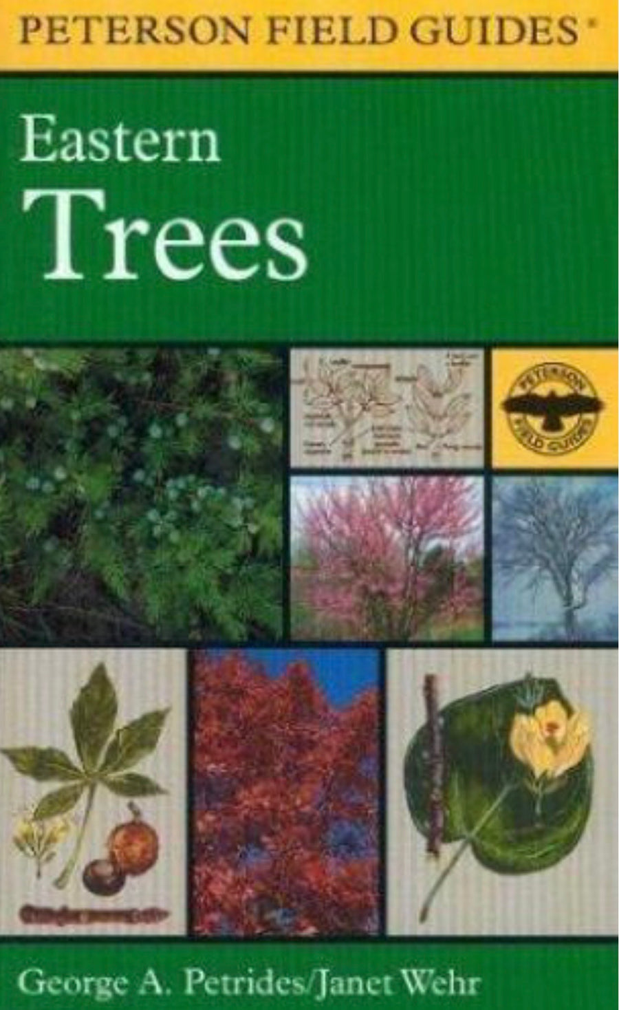 A Field Guide to Eastern Trees Eastern United States and Canada, Including the Midwest