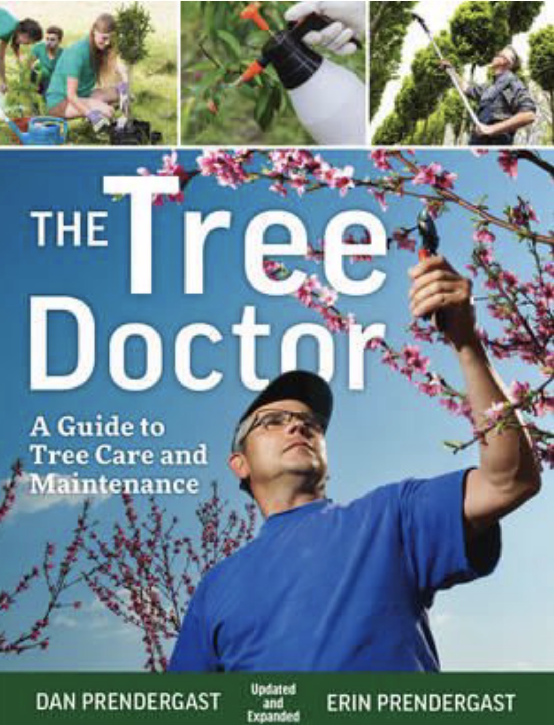 The Tree Doctor A Guide to Tree Care and Maintenance