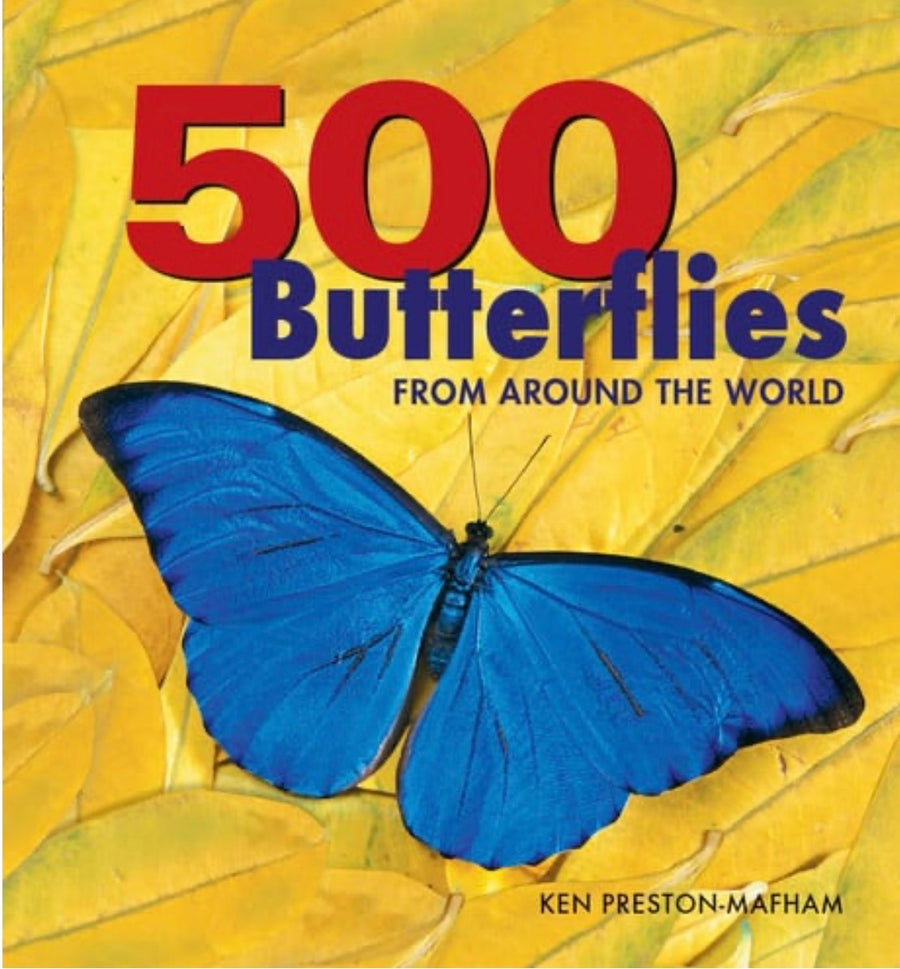 500 Butterflies From Around the World