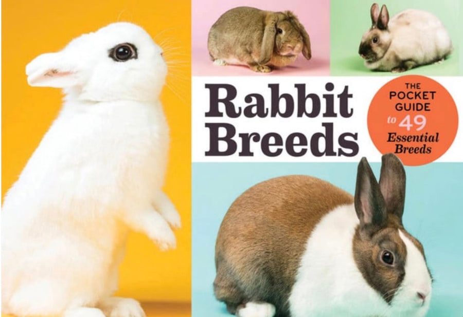 Rabbit Breeds The Pocket Guide to 49 Essential Breeds