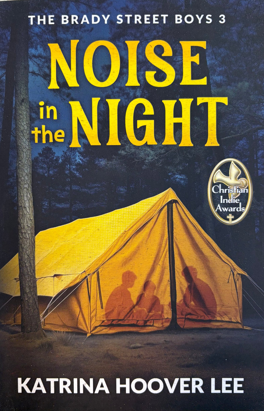 Noise in the Night